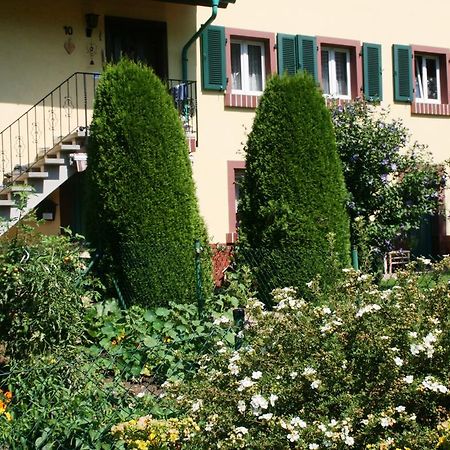 Dani'S Ferienwohnung Freiamt Luaran gambar
