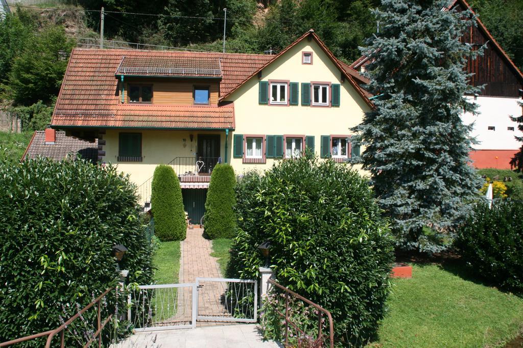 Dani'S Ferienwohnung Freiamt Luaran gambar