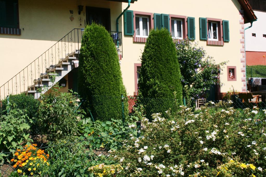 Dani'S Ferienwohnung Freiamt Luaran gambar